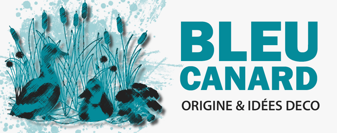Bleu Canard, origine et idées décoration