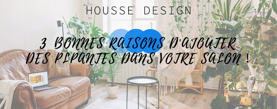 3 bonnes raisons d'ajouter des plantes dans votre salon