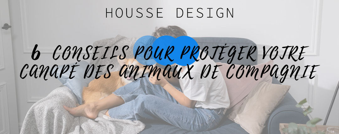 6 conseils pour protéger votre canapé des animaux de compagnie