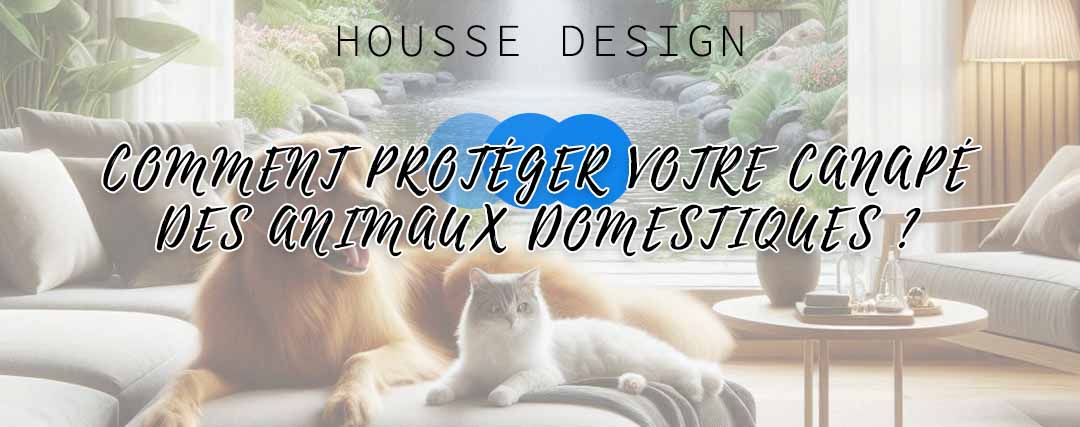 Comment protéger votre canapé des animaux domestiques ?
