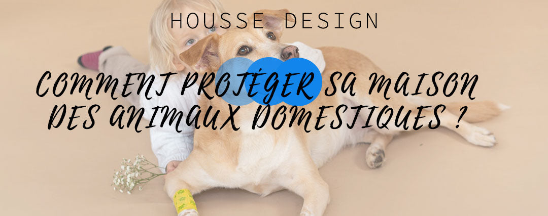 Comment protéger vos pièces des animaux domestiques
