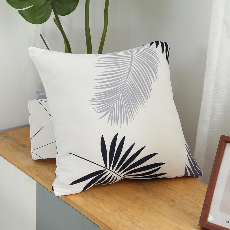 coussin protection canapé chat