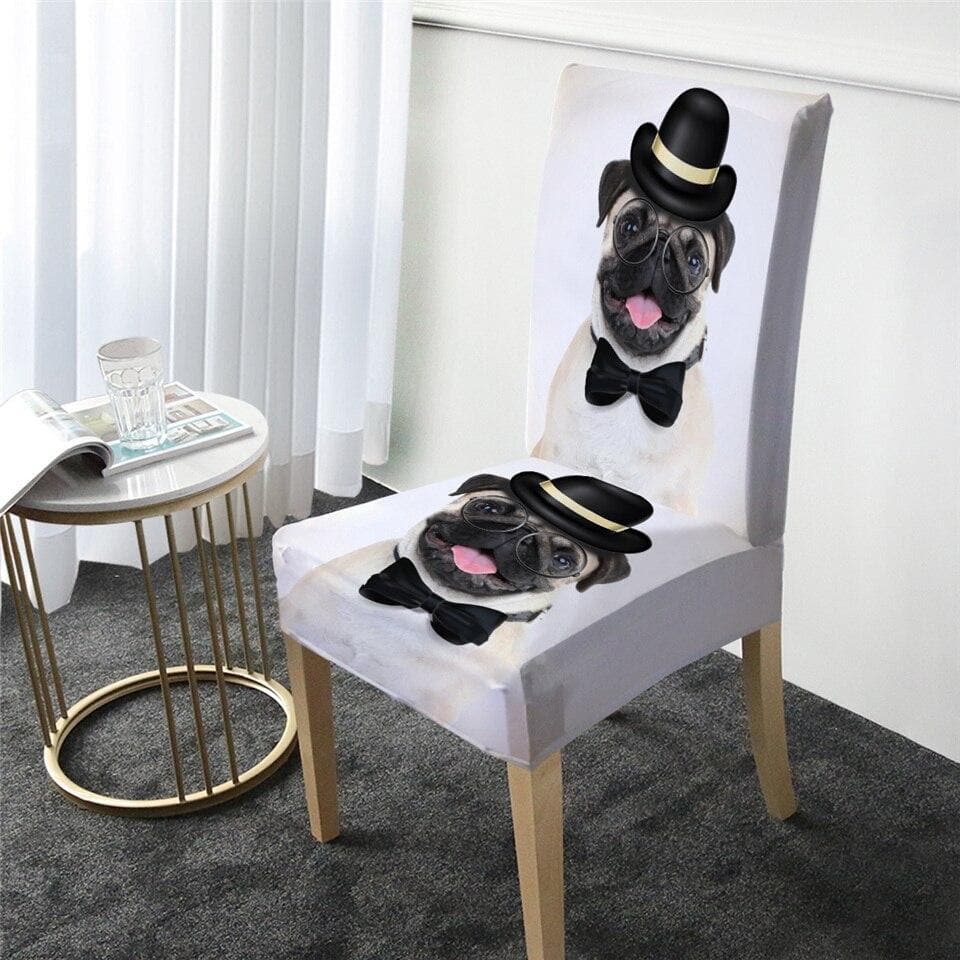housse de chaise chien gentleman